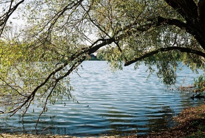 Кабацкий пруд
