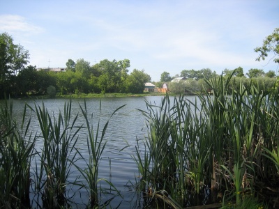 Кабацкое озеро-5